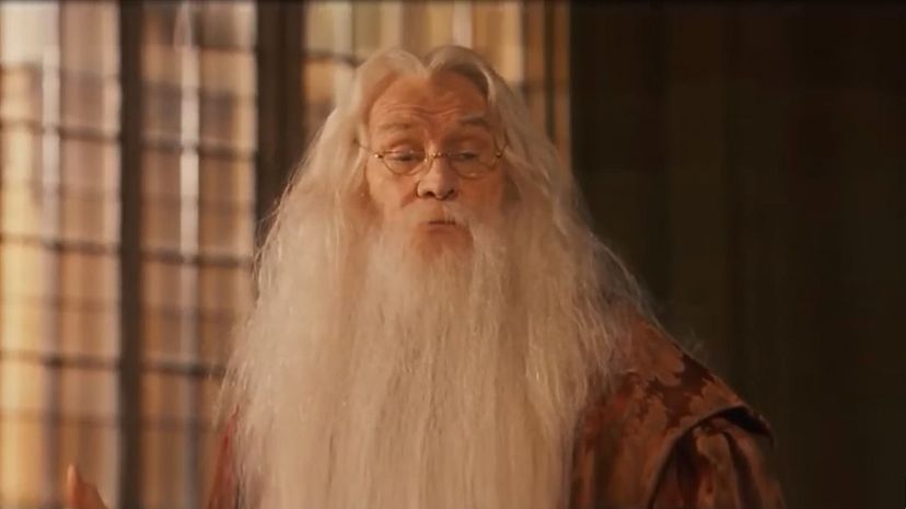 Albus Dumbledore5