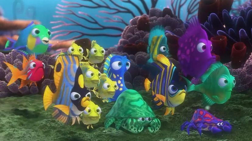 school of fish finding nemo