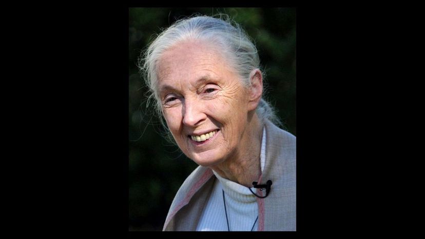 Jane Goodall