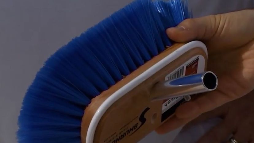 Boat Brush