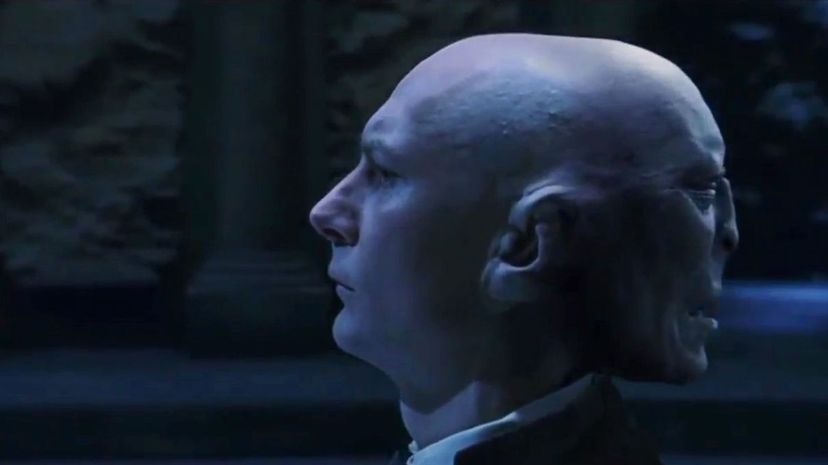 39 Professor Quirrell Voldemort