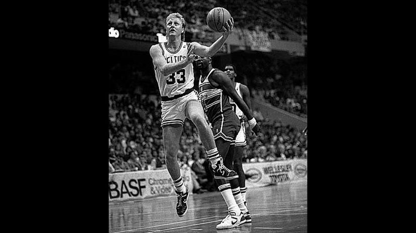 Larry Bird