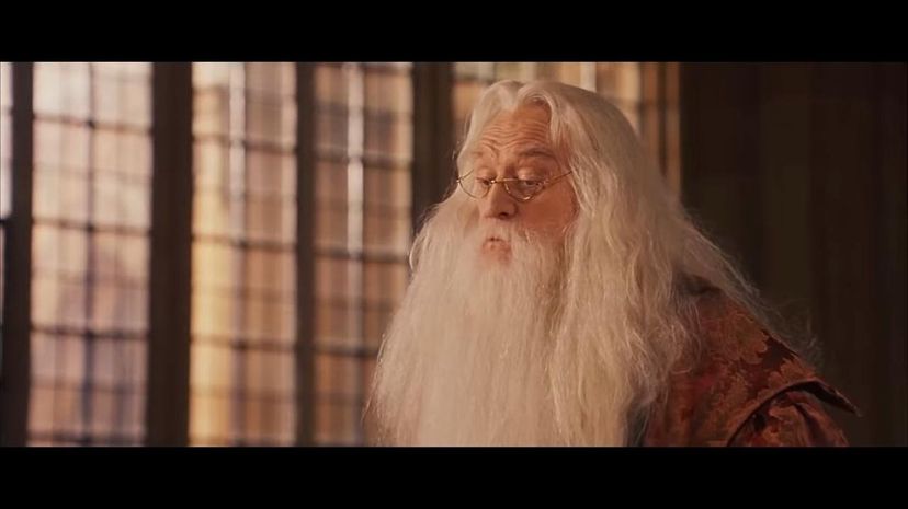 Albus Dumbledore