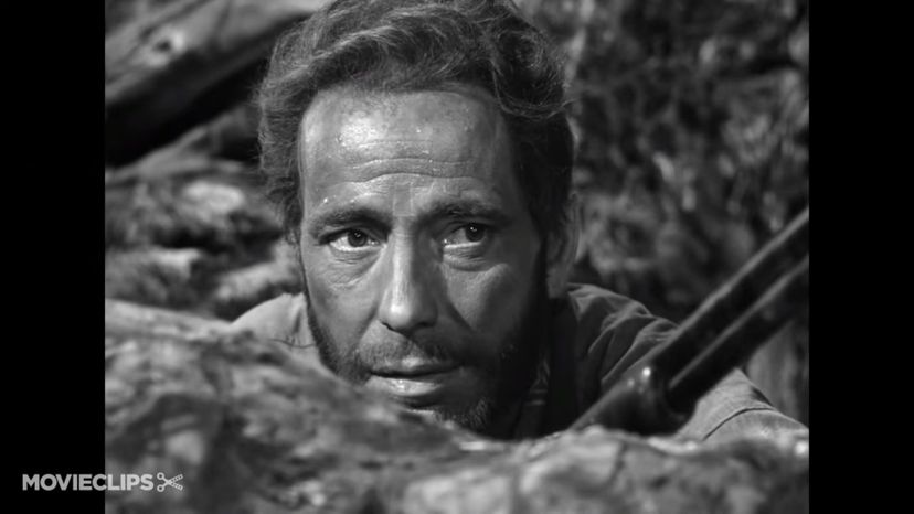 Humphrey Bogart (The Treasure of the Sierra Madre)