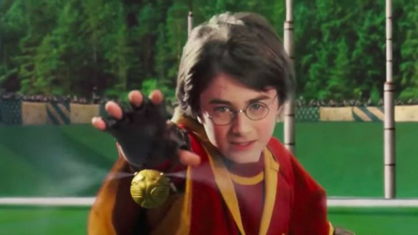 We Can Tell Which Zodiac Sign You Are Based on Your Harry Potter Opinions