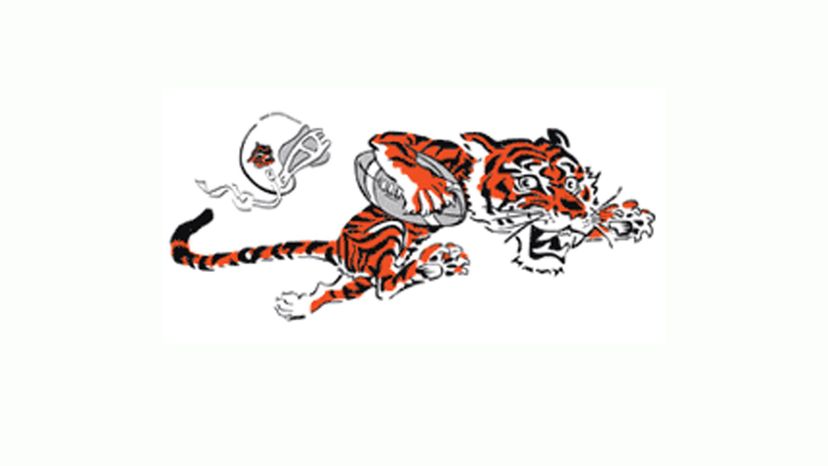 Cincinnati Bengals 68-69