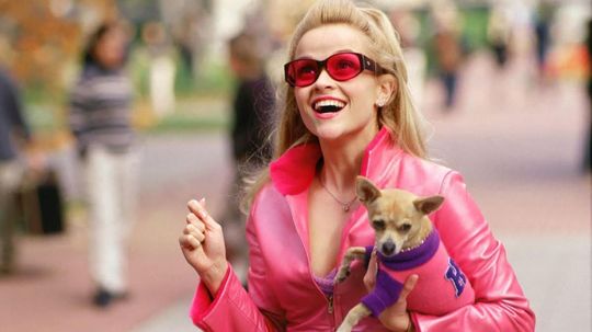 Could You Be the Next Elle Woods?