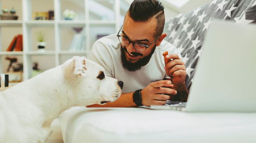 Man and dog on couch