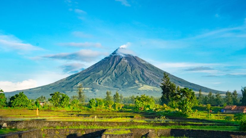 Mayon