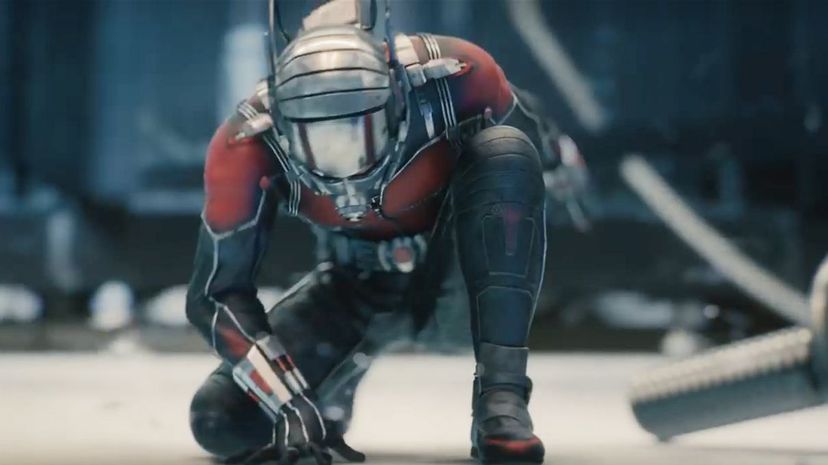 AntMan