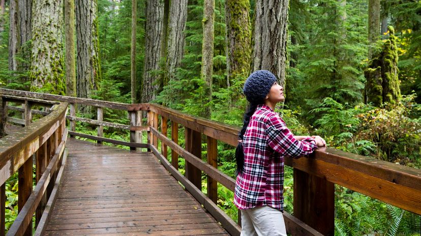 4 - British Columbia