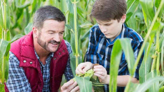 Can You Answer These Agriculture Questions a Farmer Should Know?