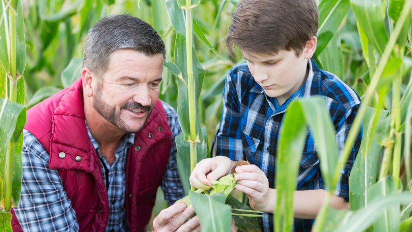 Can You Answer These Agriculture Questions a Farmer Should Know?