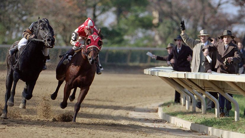 Seabiscuit wins by a nose! Take this quiz about a champion racehorse!