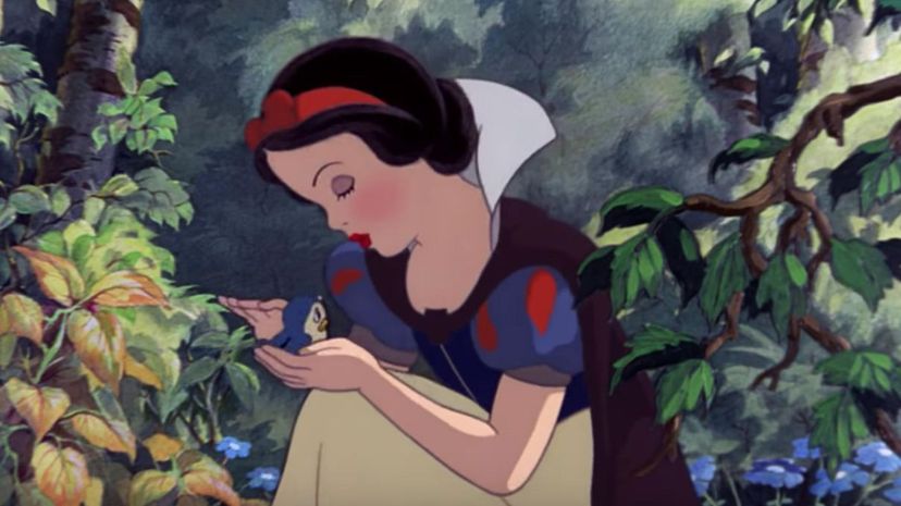 Snow White and The Seven Dwarves