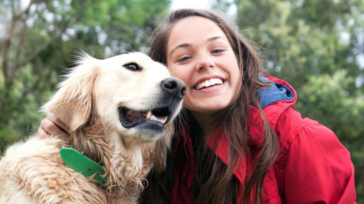 What dog breed should you adopt? Quiz Zoo