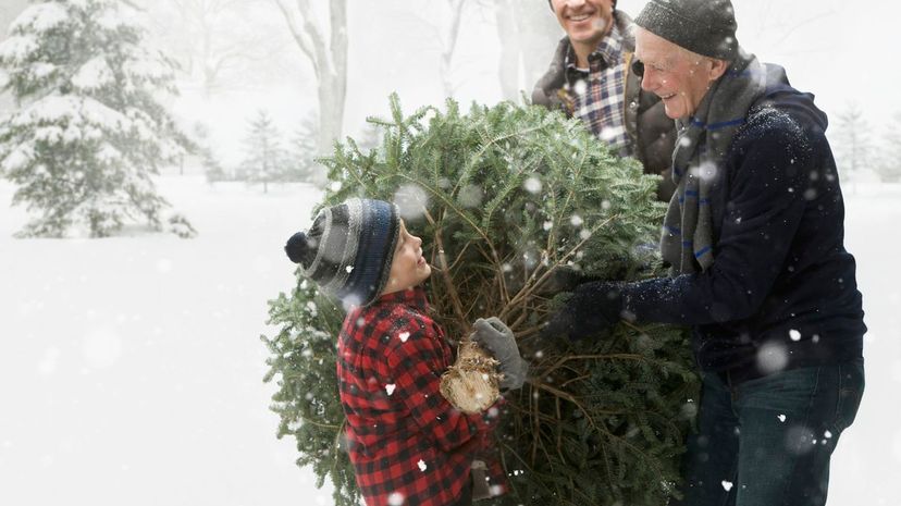 Do You Know If These Christmas Traditions Are From Yuletide or Not?