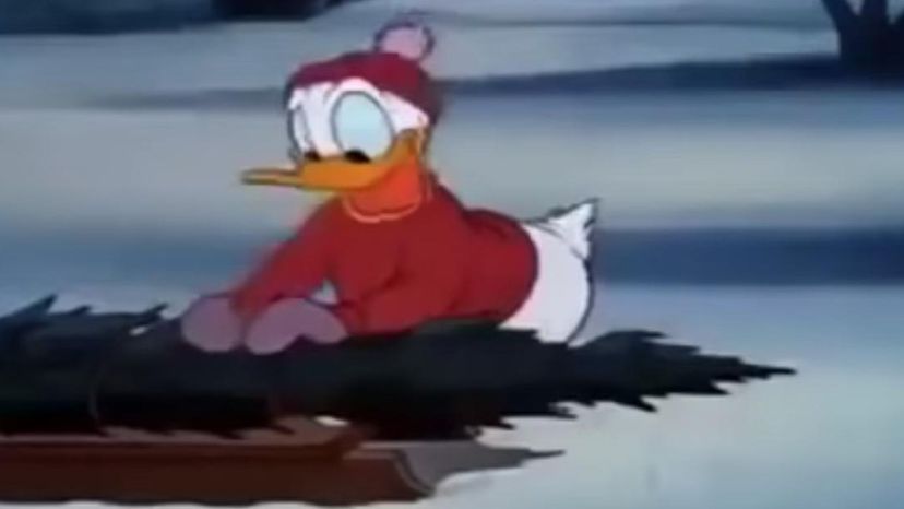 Donald Duck