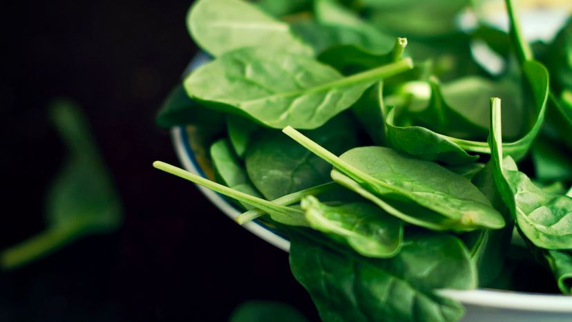 34 spinach GettyImages-120353471