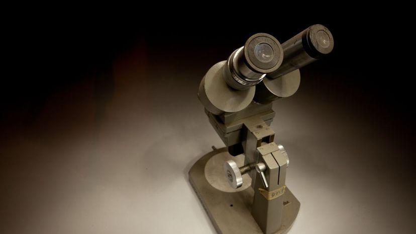 Microscope