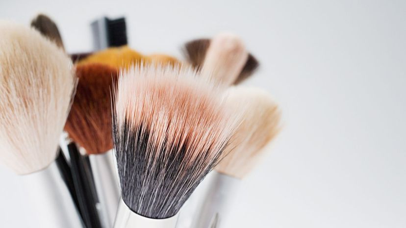 26 kabuki brush