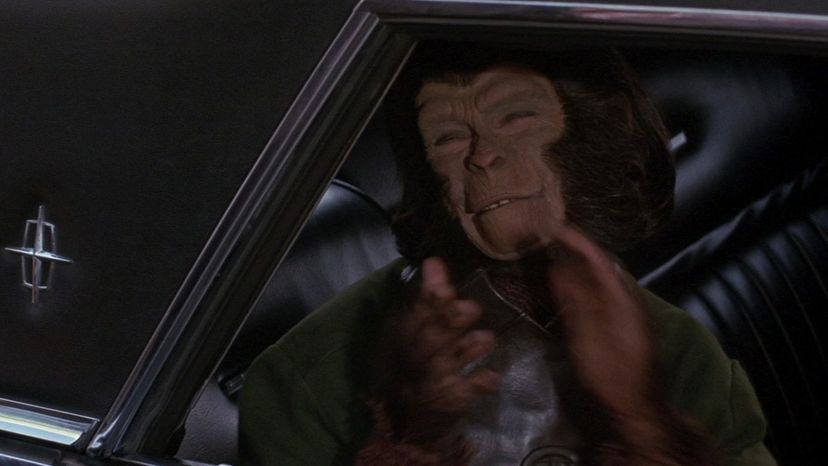 Escape from the Planet of the Apes (1971)_8