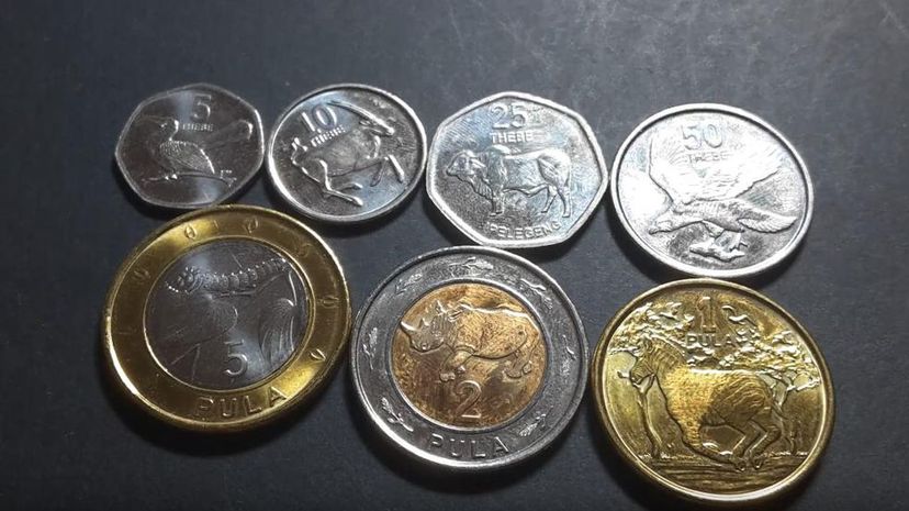 11. Botswana Coins