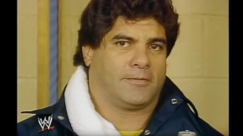 28 Don Muraco