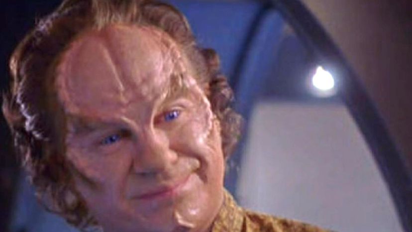 Dr. Phlox