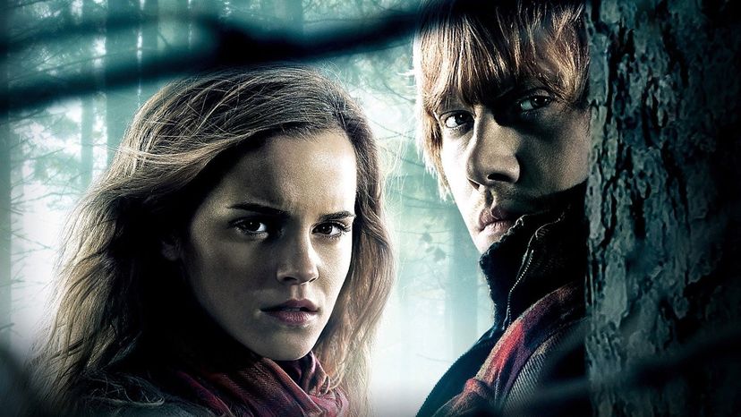 Ron Weasley and Hermione Granger