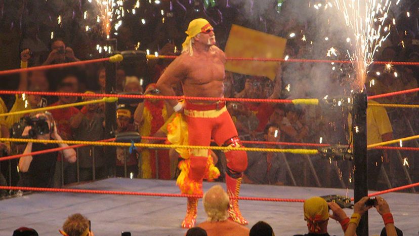 Hulk Hogan