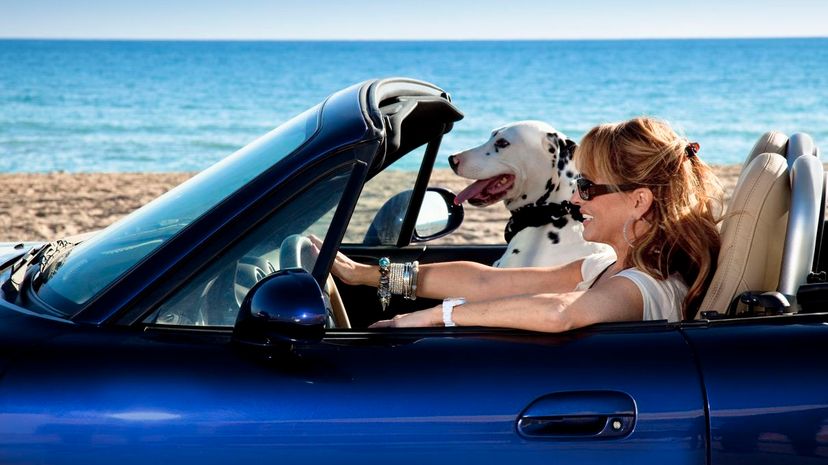 Woman driving an sports car with her dog