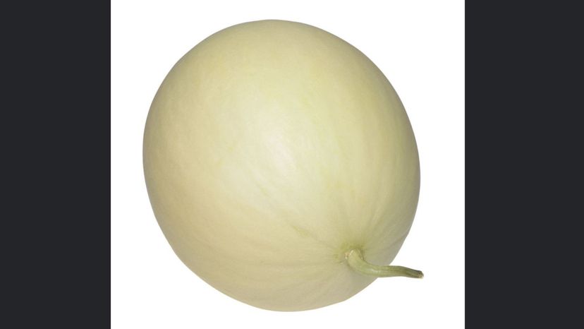 Honeydew Melon