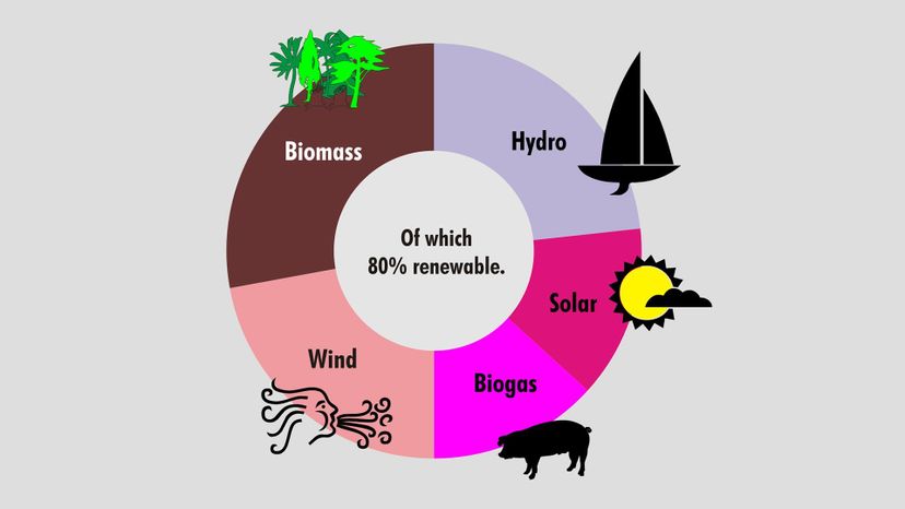 Doughnut Chart