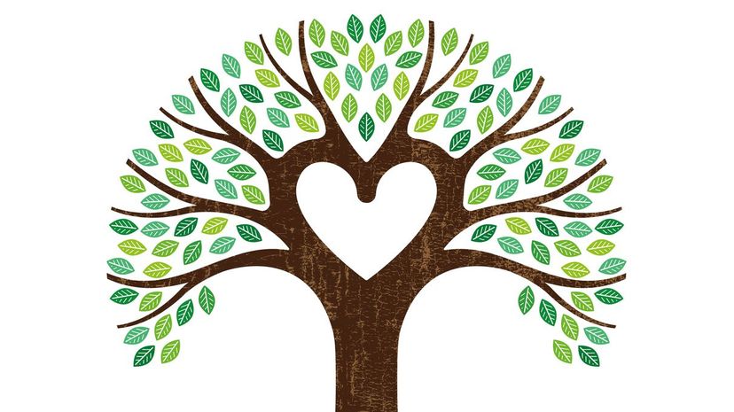 Heart shaped branch tree