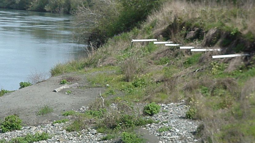 leach field (ffluent go after it leaves a septic tank)