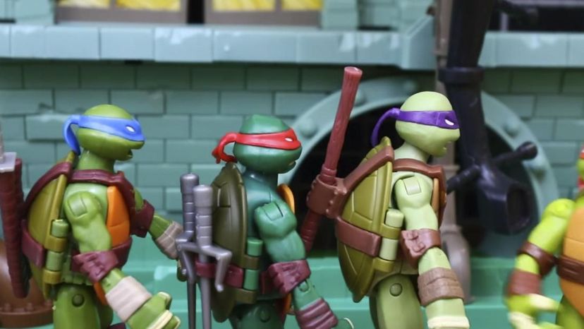 Teenage Mutant Ninja Turtles