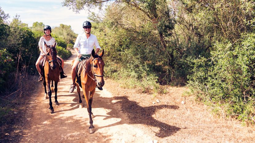 Horseback riding