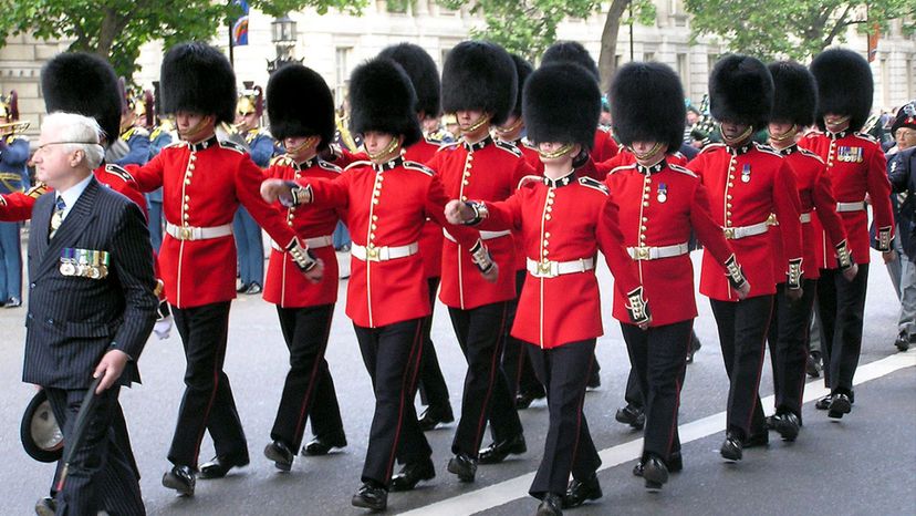 British Army (Irish Guards Full Dress)