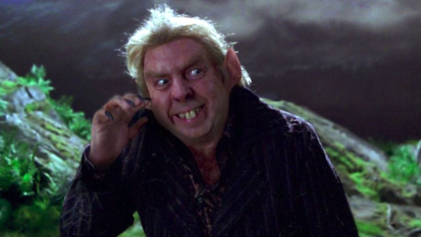 Peter Pettigrew