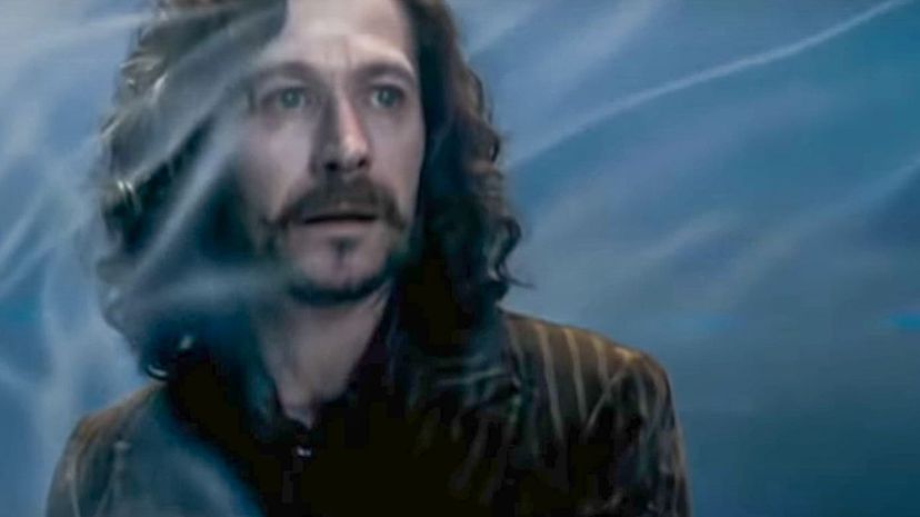 13-Sirius Black“border=