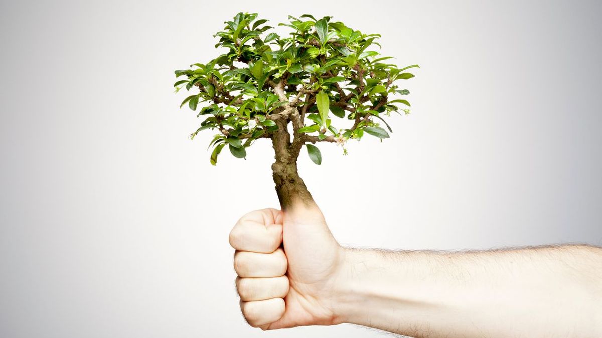 Answer These Flower Questions and We'll Guess What Botanist You Are