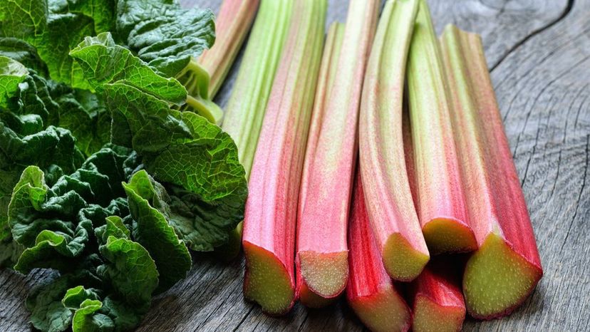 Rhubarb