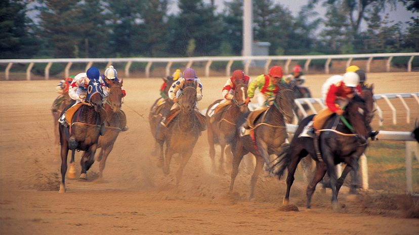 7 Horse racing