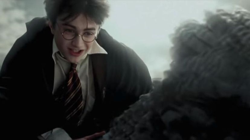 Harry Potter and Buckbeak