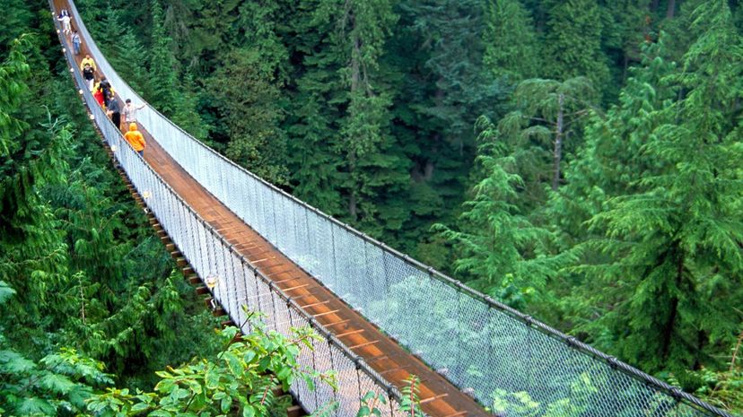 Capilano Suspension Bridge