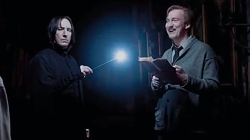 Prof Snape and Lupin