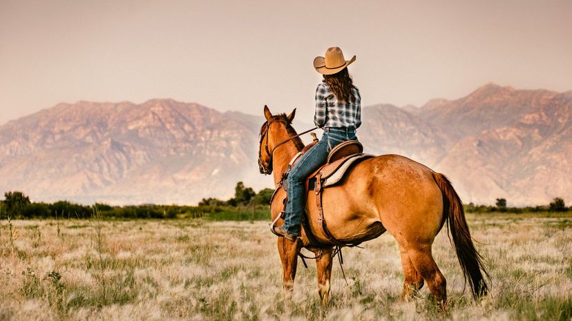 What % Cowgirl Are You?