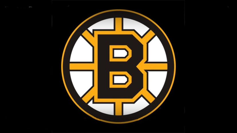 Boston Bruins