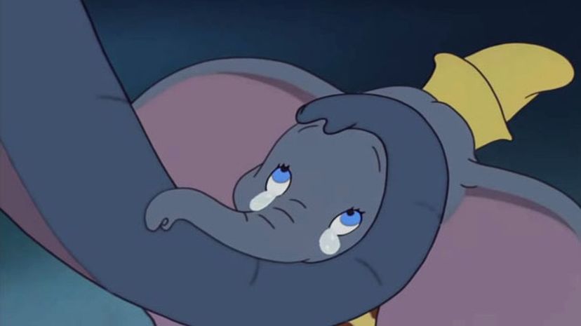 8 Dumbo
